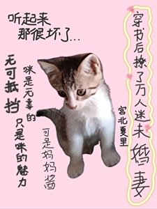 穿书后撩了万人迷未婚妻